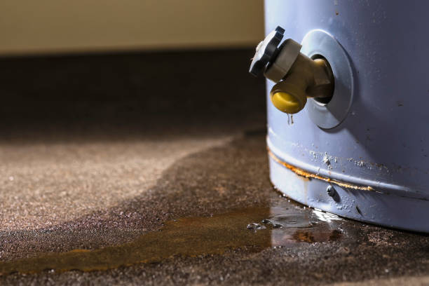 Best Flooded house restoration  in Willmar, MN