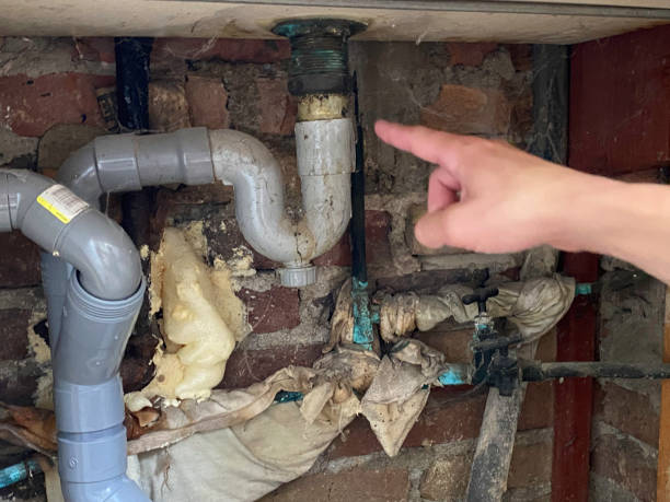 Best Carpet water damage restoration  in Willmar, MN