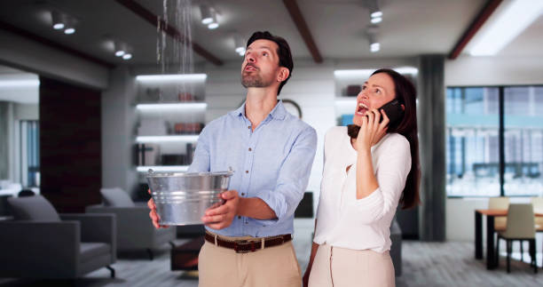 Best Flooded house restoration  in Willmar, MN